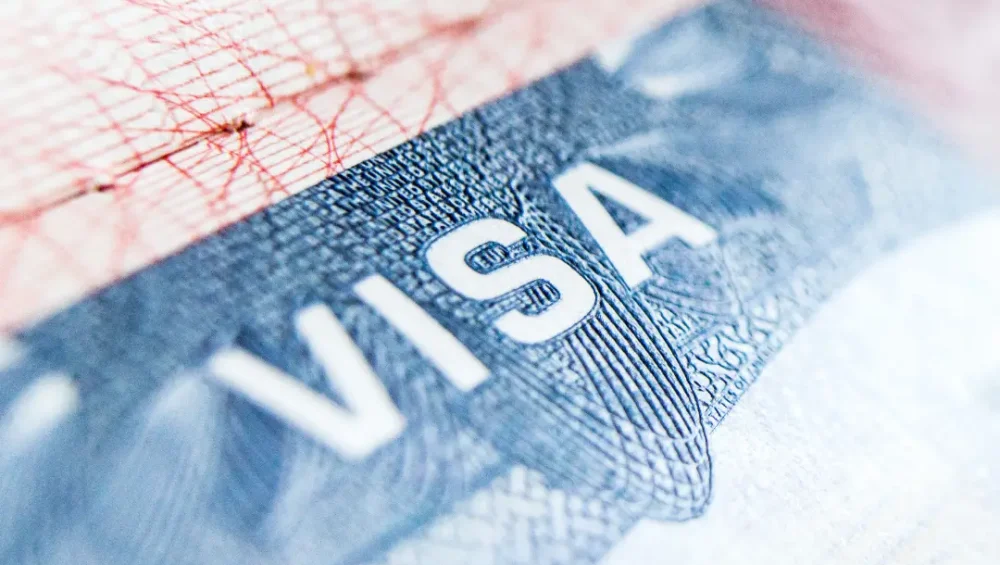 Visa agency UAE